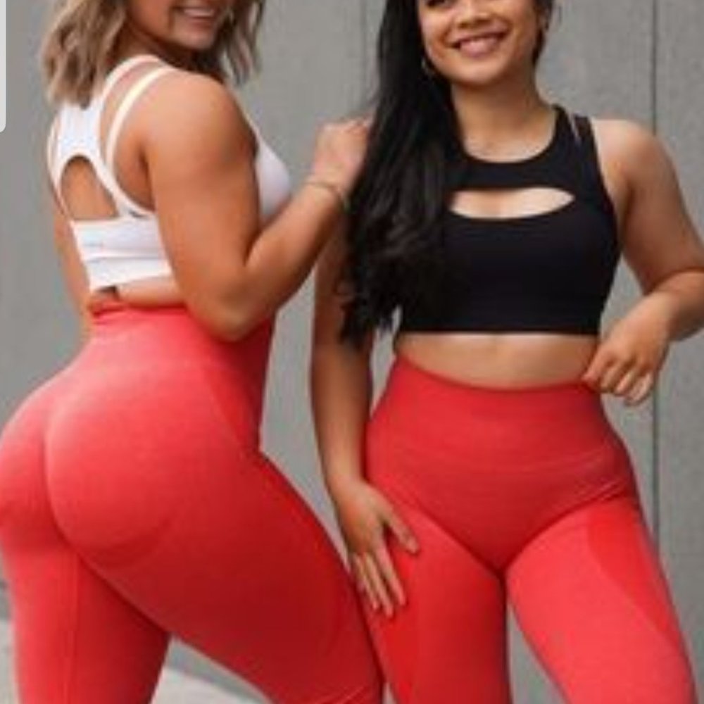 Nvgtn Apex bra small NWT sold out online